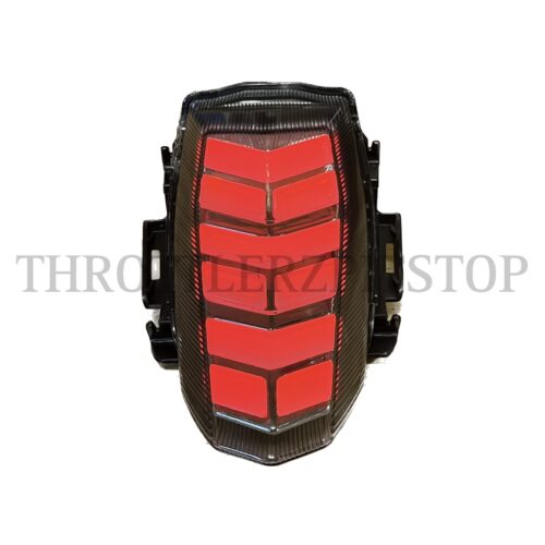 R15V3 TAIL LIGHT (1)