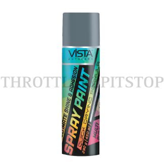 VISTA SPRAY PAINT SILVER